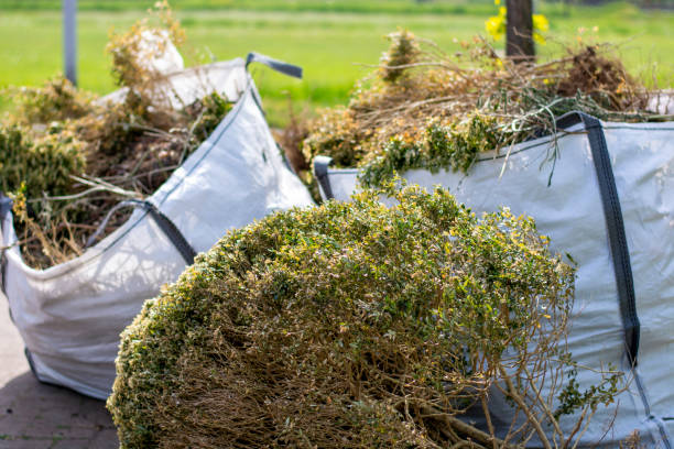 Prescott Valley, AZ Junk Removal Company